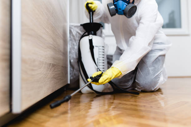 Best Rat Extermination Near Me  in Hutto, TX