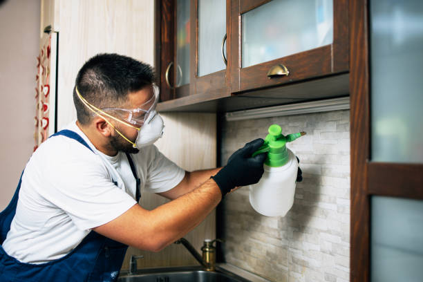 Best Exterminator Services  in Hutto, TX