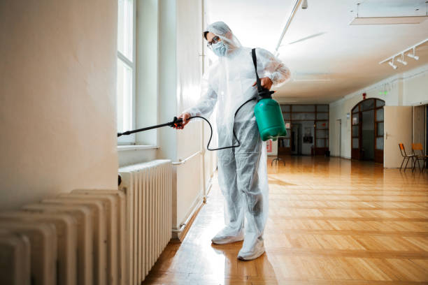 Best Flea Control Services  in Hutto, TX