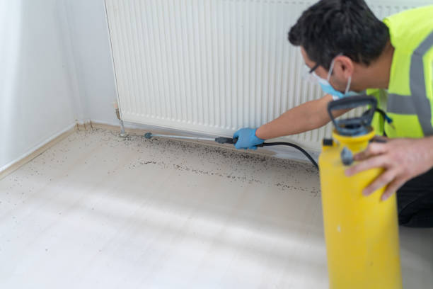 Best Residential Pest Control  in Hutto, TX