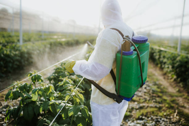 Best Best Pest Control Companies  in Hutto, TX